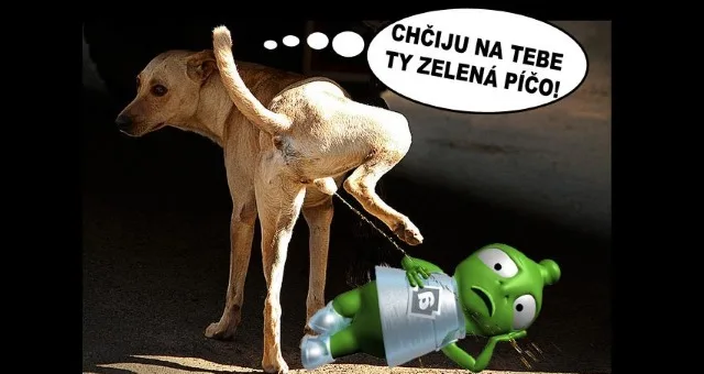 alza